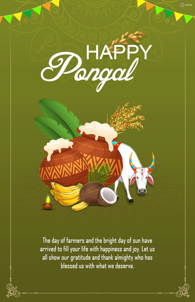 Happy Pongal 2021 : Status , HD Image, GIF, Video Download